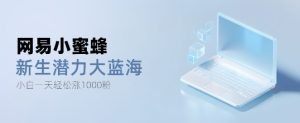 网易小蜜蜂：全新蓝海爆款项目，单日千粉增长不是梦