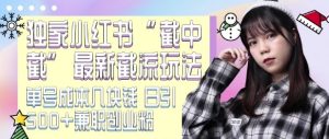小红书截流独家秘籍：单号成本低至几块钱，日引 500+CY 粉 JZ 粉，全新截中截玩法大揭秘