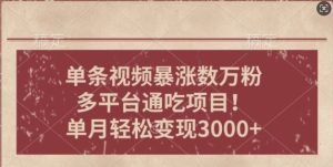 一条作品涨万粉：轻松上手，单月简单变现3000+！
