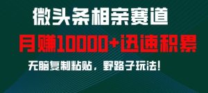 微头条相亲野路子掘金玩法：无脑粘贴，快速积累，月入 1w，野路子也能成富路
