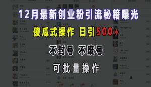 12 月创业粉引流神器：傻瓜式日引 500 +，多号批量操作无忧，封号废号拜拜