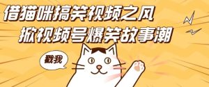借猫咪搞笑视频，创视频号爆笑故事：无门槛入门，轻松日入四位数