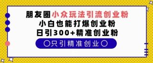 朋友圈小众引流秘籍：小白也能日引300+精准创业粉！