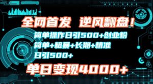 全网首发：简单操作日引500+创业粉，简单+粗暴+长期+精准！