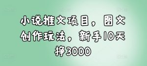 小说推文项目：图文创作新手，10天轻松挣3000！