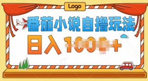 番茄小说自撸零成本玩法：无视播放量与视频质量