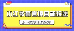 小红书禁言项目新玩法：推广新思路大大提升出单率，轻松实现月入过万！