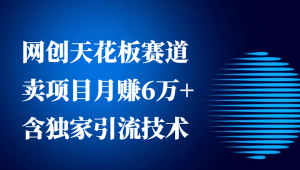 网创巅峰赛道卖项目特训：月赚 6 万 +，独家引流技术 26 节课倾囊相授