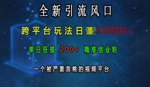 全新引流风口：跨平台玩法日入上 k，单日狂揽 200 + 精准创业粉，这个视频平台不容小觑