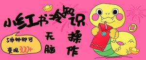 小红书的冷门知识账户，没脑子拷贝，5分钟左右转现3张