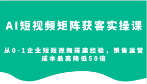 AI短视频矩阵获客实操：企业视频搭建，成本降低50倍