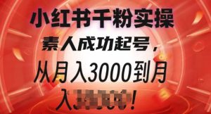 小红书千粉实操课：从月入3000到过万，素人起号秘籍