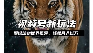 动物世界解说视频：月入过万，轻松操作，开启分成计划收益