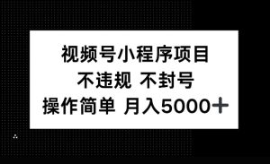 视频号小程序项目：不违规不封号，操作简单月入5000+
