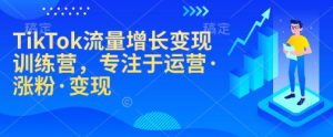 TikTok流量增长转现夏令营，致力于经营·增粉·转现