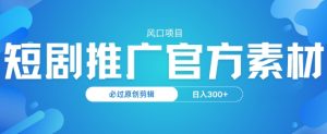 蓝海项目，短剧剧本营销推广，官方网网络资源，必过原创设计视频剪辑，日入3张