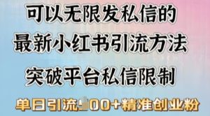 全新“摆烂式”引流方法玩法，小红书私信引流方法，单日引流方法100