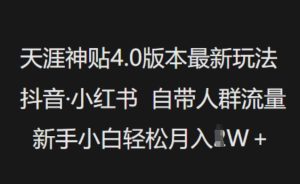 天涯神贴4.0版本号全新游戏玩法，抖音视频·小红书的内置群体总流量，新手入门轻轻松松月入了W