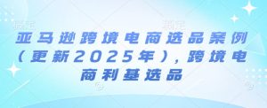 亚马逊平台跨境电商选品实例(升级2025年2月)，跨境电子商务冷门选款