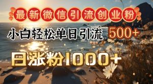 全新微信加粉自主创业粉，小白单日轻轻松松引流方法500 ，日增粉1000