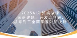 2025AI出口外贸实战演练课：包含建网站、开发设计、营销推广, 从零到三全面了解出口外贸专业技能