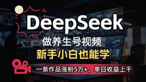 新手用DeepSeek做健康养生号，一条著作增粉5万 ，单日盈利过千