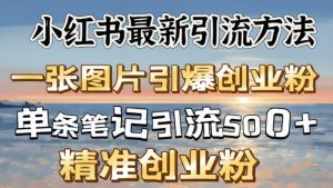 小红书的全新推广方法，一张图片点爆自主创业粉