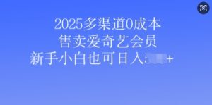 2025多种渠道0成本费出售爱奇艺vip，新手入门也可以日入好几张
