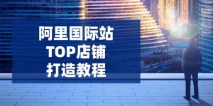 阿里巴巴国际TOP店面打造出实例教程：包含服务平台到高级，处理经营困难，提高外贸询盘