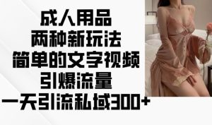 两性用品二种新模式，文字描述短视频引爆流量，一天引流方法公域300