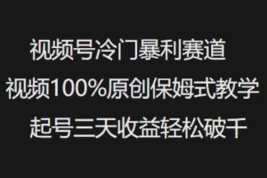 微信视频号小众爆利跑道短视频100%原创设计跟踪服务课堂教学养号三天盈利轻轻松松破千