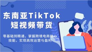 东南亚地区TikTok短视频卖货，零基础到掌握，把握跨境电子商务核心技能，完成高效管理与赢利