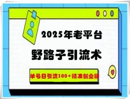 2025年老平台歪门邪道引流术，运单号日引流方法300 精确自主创业粉