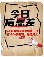 5.0闲鱼引流打造爆款秘笈，日引300 自主创业粉，平稳月入了W