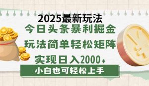 今日今日头条2025全新游戏玩法，构思简易，拷贝，真正实现引流矩阵日入2000
