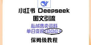 小红书的Deepseek图文并茂引流方法，公域出售材料，单日转现好几张，家庭保姆级实例教程