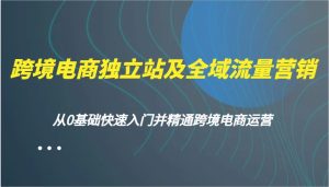 跨境电商电商独立站及全域流量营销推广，从0根本快速上手并熟练跨境电商运营