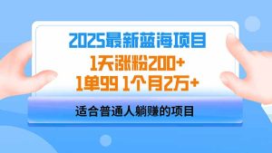 2025蓝海项目 1天增粉200 1单99 1个月2万