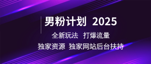 粉丝方案2025 全新玩法打穿总流量 独立网站 单独网络资源后台管理帮扶