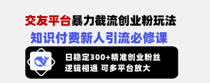 交友网站暴力行为截留自主创业粉游戏玩法，社交电商新手引流方法必修课程，日平稳300 精确…