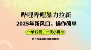 bilbil暴力行为引流：2025年新蓝海，一单12元，一天多张(附开白渠道家庭保姆级实例教程)