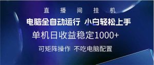2025直播房间全新游戏玩法单机版日入1000 全自动控制 可引流矩阵实际操作
