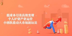 降低成本引流方法高效率转现，本人IP财产化运营，小团体撬起市场新模式