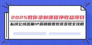 2025教大家录制课程挣盈利新项目，公域公域流量IP营销推广作图外包装转现攻略大全