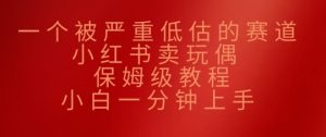 一个被严重低估的赛道，小红书的卖公仔，家庭保姆级实例教程，小白一min入门