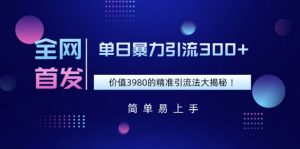 独家首发，使用价值3980单日暴力行为引流方法300 的精准引流方法法大曝光
