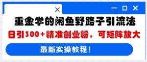 巨资学得闲鱼平台歪门邪道引流法，日引300 精确自主创业粉，可引流矩阵变大