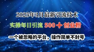 2025年3月全新引流技术，实际操作每日引流方法500 自主创业粉，一个被忽视服务平台，使用方便防封号