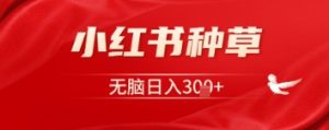 小红书种草，一台手机就可以，没脑子日入3张