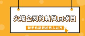 火爆全网的新风口新项目，依靠人工智能技术AI看命，免费预测运势，初学者都可以轻松月入了W